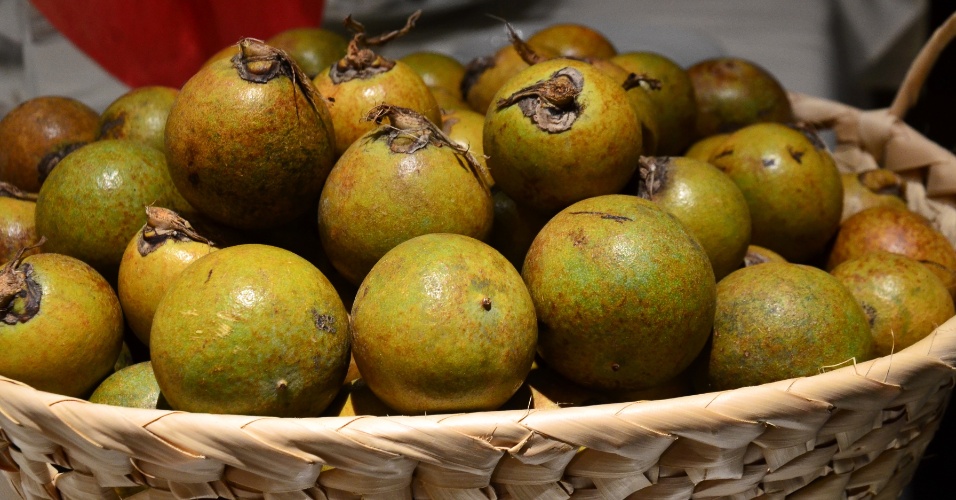 Coloração de Frutas em COQUINHOS